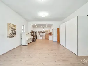Pronájem bytu 1+kk, Strančice, K Habrovci, 50 m2