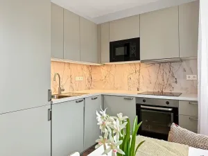 Prodej bytu 1+1, Ústí nad Labem - Střekov, Nová, 42 m2