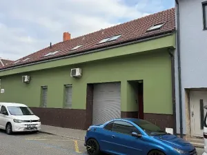 Prodej rodinného domu, Brno, Gargulákova, 417 m2