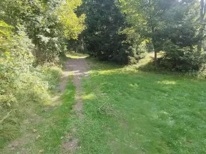Prodej chalupy, Strážné, 200 m2