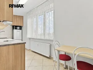 Prodej bytu 1+1, Plzeň, Revoluční, 40 m2