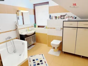 Prodej rodinného domu, Jenišovice, 355 m2