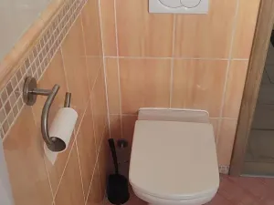 Pronájem bytu 1+kk, Frýdek-Místek, Ostravská, 32 m2