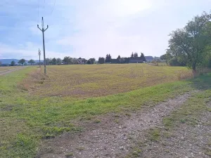 Dražba pozemku pro bydlení, Vrbice, 9030 m2