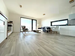 Pronájem bytu 2+kk, Brno, Kumpoštova, 55 m2