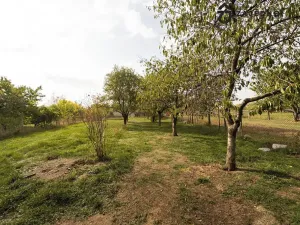 Prodej rodinného domu, Nové Syrovice, 77 m2