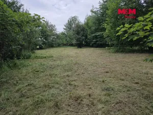 Prodej pozemku pro bydlení, Bor - Boječnice, 1093 m2