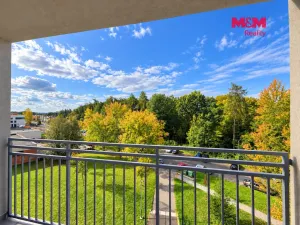 Pronájem bytu 1+kk, Ostrava - Zábřeh, Petruškova, 30 m2