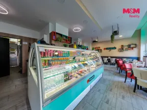 Pronájem obchodního prostoru, Plzeň - Východní Předměstí, Koterovská, 65 m2