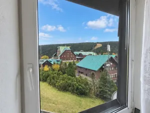 Prodej bytu 1+kk, Loučná nad Desnou - Kouty nad Desnou, 39 m2
