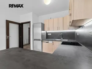 Pronájem bytu 2+kk, Plzeň, K Lutové, 55 m2