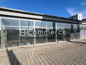 Pronájem obchodního prostoru, Brno, 473 m2