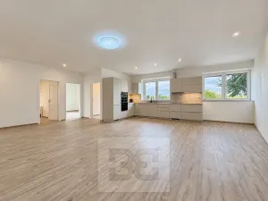 Pronájem rodinného domu, Dolní Dunajovice, Kostelní, 130 m2