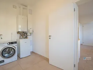 Pronájem bytu 3+1, Praha - Žižkov, Štítného, 99 m2