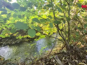 Prodej pozemku pro bydlení, Kunratice u Cvikova, 1655 m2