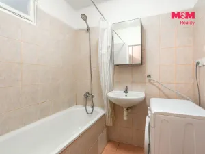 Pronájem bytu 1+1, Bechyně, Na Libuši, 46 m2