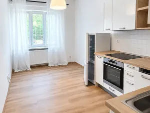 Pronájem bytu 2+kk, Praha - Nusle, Spolupráce, 48 m2