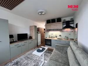Pronájem bytu 1+kk, Ústí nad Labem - Ústí nad Labem-centrum, Hoření, 21 m2