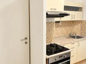 Prodej bytu 2+kk, Praha - Nusle, Kloboučnická, 50 m2