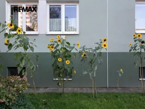 Prodej bytu 4+1, Praha - Záběhlice, Hrusická, 71 m2