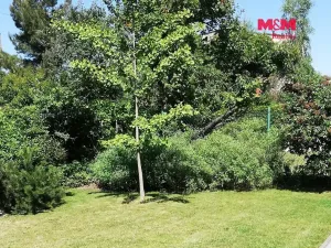 Pronájem bytu 2+1, Praha - Strašnice, Na Třebešíně, 88 m2