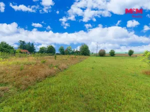 Prodej pozemku pro bydlení, Kolešovice, 3026 m2