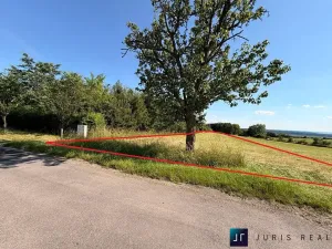 Prodej pozemku pro bydlení, Kobylnice, 5584 m2