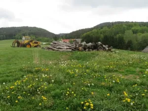 Prodej pozemku, Meziměstí, 1272 m2