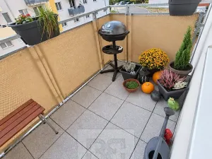 Pronájem bytu 2+kk, Brno, Novodvorská, 50 m2