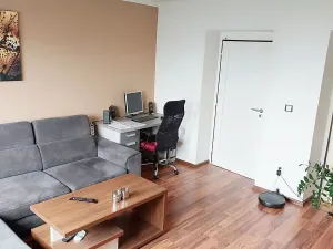 Prodej bytu 2+1, Sokolov, Pionýrů, 54 m2
