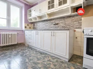 Prodej bytu 2+1, Ostrov, Borecká, 64 m2