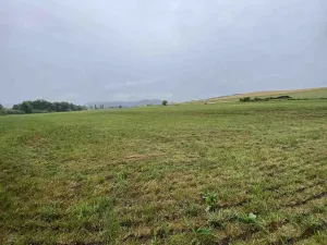 Prodej pole, Rabí - Bojanovice, 22978 m2