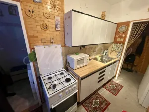 Prodej bytu 2+1, Velké Opatovice, Eduarda Ušela, 53 m2