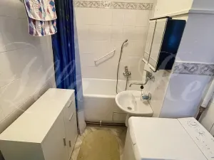 Prodej bytu 2+1, Velké Opatovice, Eduarda Ušela, 53 m2