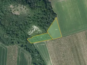 Prodej sadu/vinice, Želkovice, 133318 m2