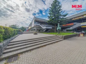Pronájem skladu, Havířov - Podlesí, Dlouhá třída, 12 m2