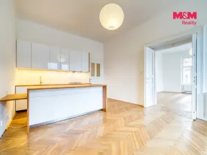 Pronájem bytu 3+kk, Plzeň - Vnitřní Město, Solní, 109 m2