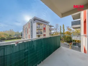 Prodej bytu 2+kk, Nová Role, Svobodova, 39 m2