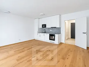 Prodej bytu 1+kk, Praha - Košíře, Starokošířská, 40 m2