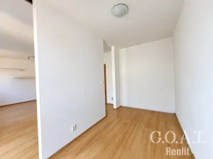 Prodej bytu 1+kk, Plzeň, Karlova, 42 m2