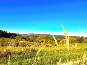Prodej chalupy, Prlov, 180 m2