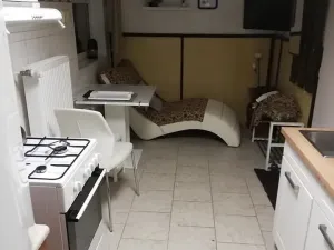 Pronájem bytu 1+1, Brno, V aleji, 40 m2