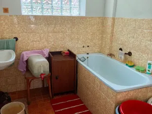 Pronájem zemědělské usedlosti, Ondřejov, Brožkova, 80 m2