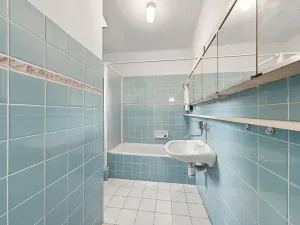 Prodej vily, Ústí nad Labem, Litoměřická, 254 m2