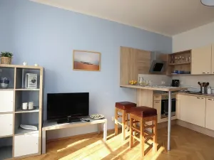 Pronájem bytu 1+kk, Praha - Nusle, U křížku, 27 m2