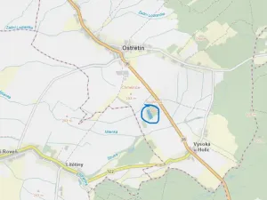 Prodej lesa, Ostřetín - Vysoká u Holic, 11957 m2