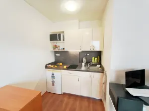 Pronájem bytu 1+kk, Brno, Skořepka, 24 m2