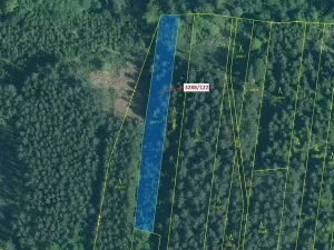 Dražba lesa, Hosty, 1942 m2
