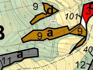 Dražba lesa, Hovězí, 2438 m2