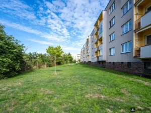Prodej bytu 3+kk, Hradec Králové - Malšovice, Gollova, 63 m2
